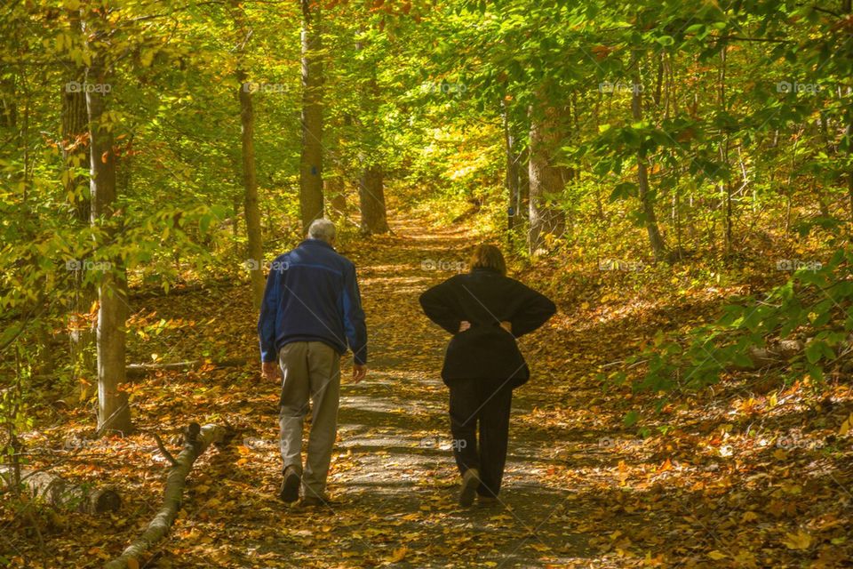 A stroll in the woods