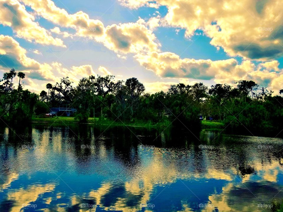 Beautiful Day in Florida