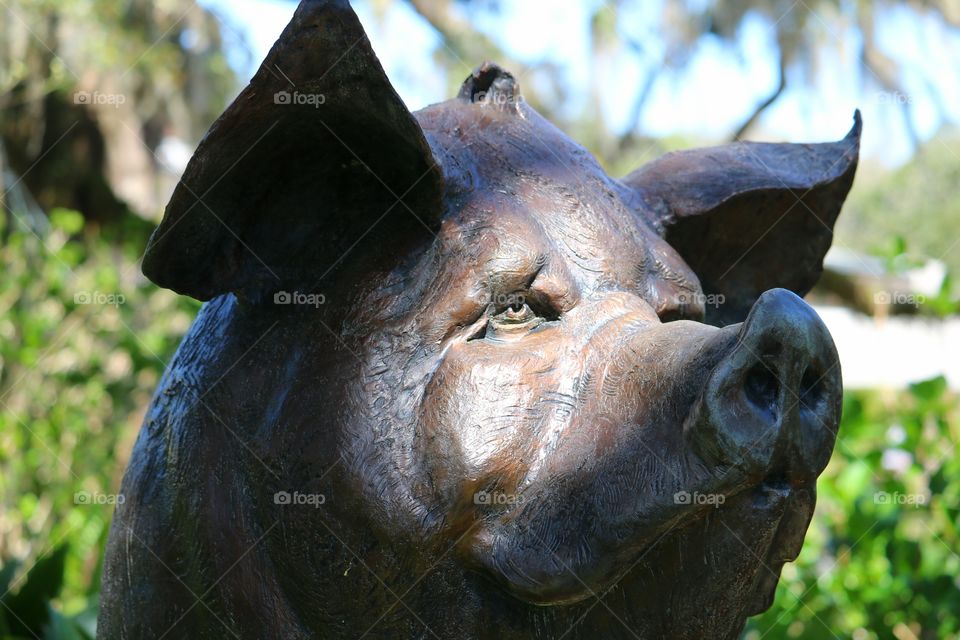 sunlight on bronze sculpture