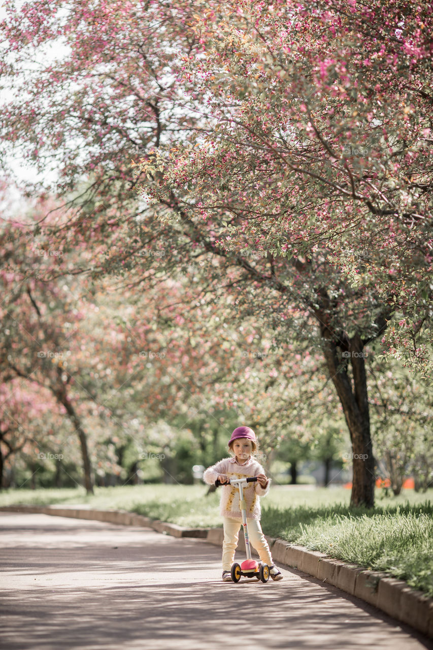 Cute Little girl in a blossom park