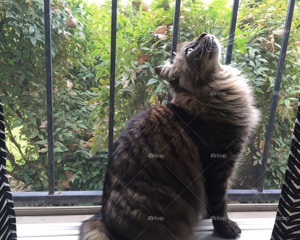 Dreams of the Outdoors