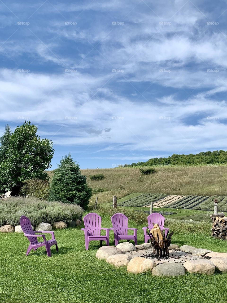 Beautiful place for rest 