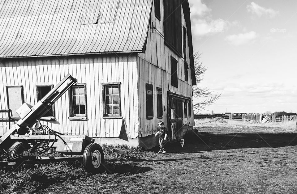 Big old barn and little boy with cat 