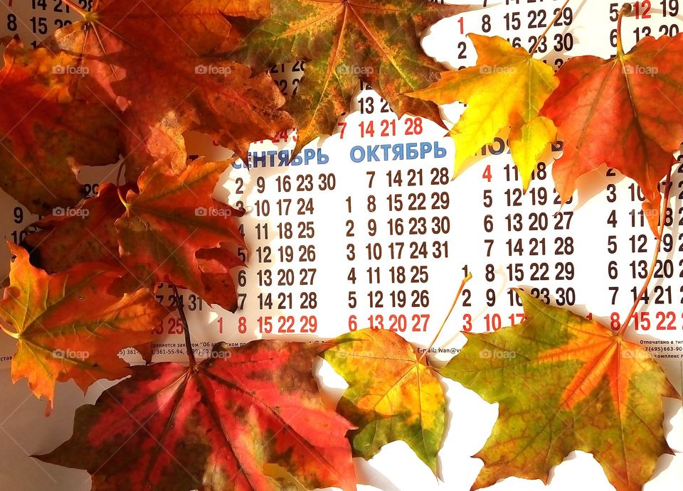 календарь.осень.листья.