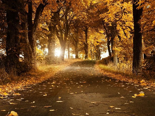 Autumn season 