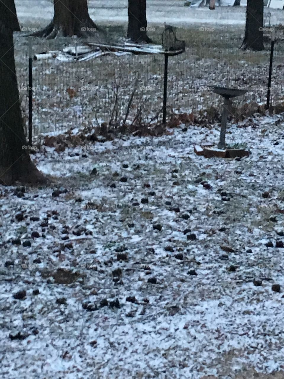 It’s winter time again! Woke up to a light coating of snow on the ground. It’s cold!