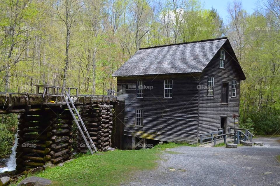 Grist Mill and Flume