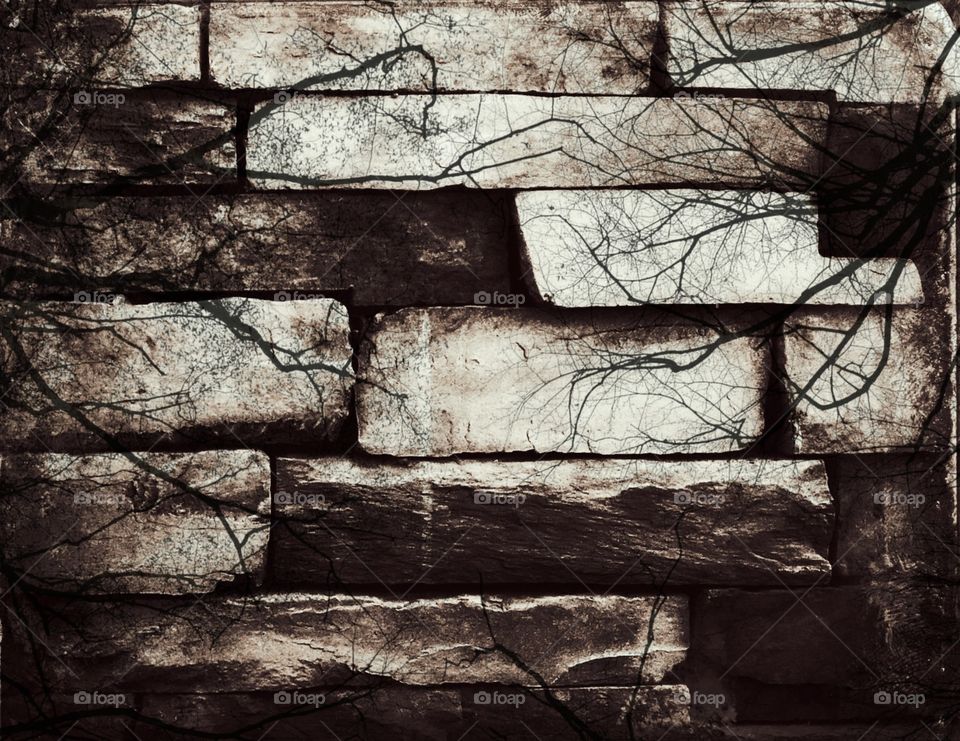 overgrown background