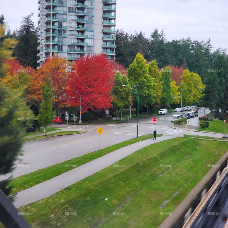 Beauty lies in #the_eyeofbeholder..SubhanALLAH
#Vancouver,British Columbia.