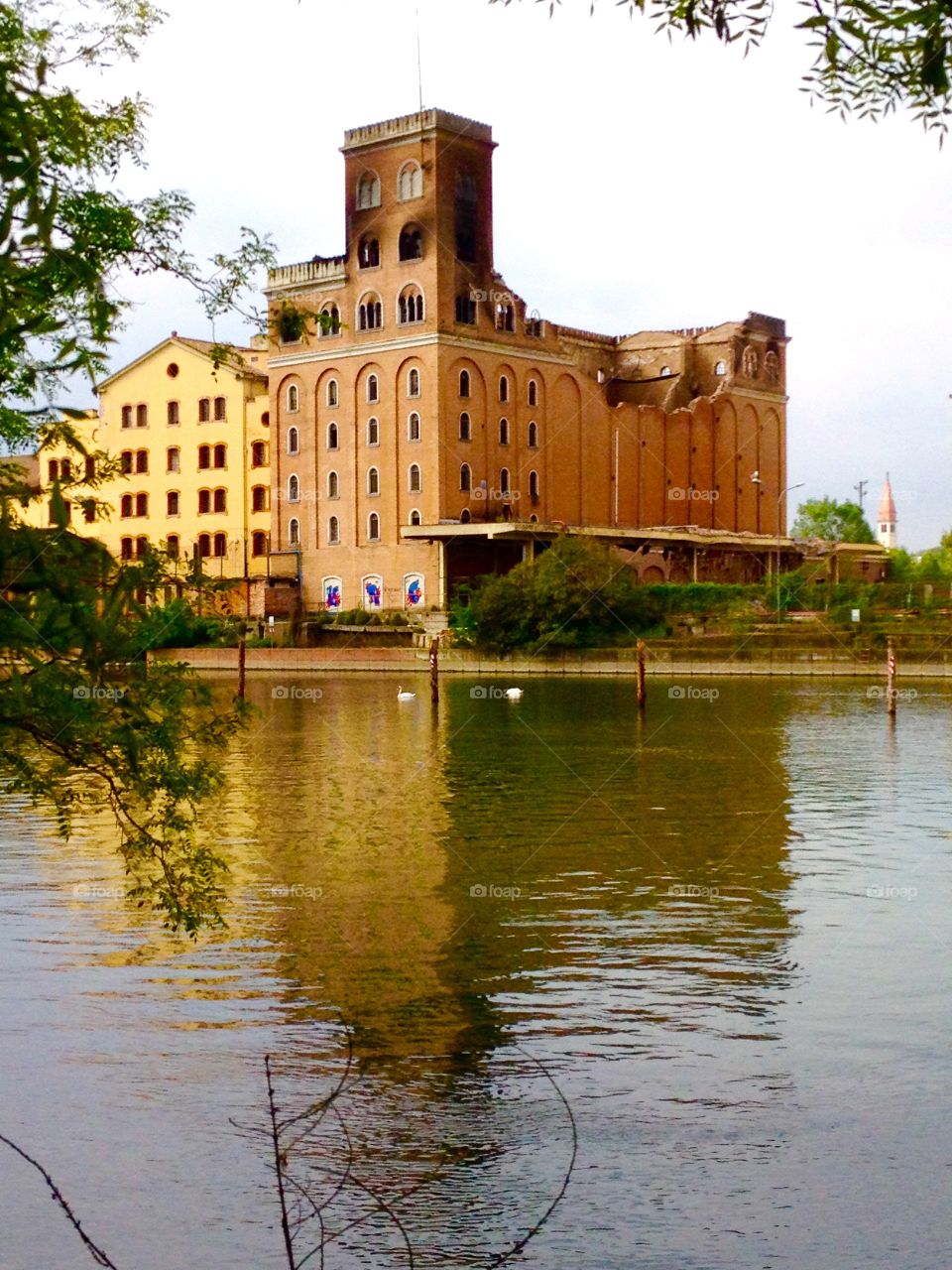 industrial archeology. former mill burned by arson