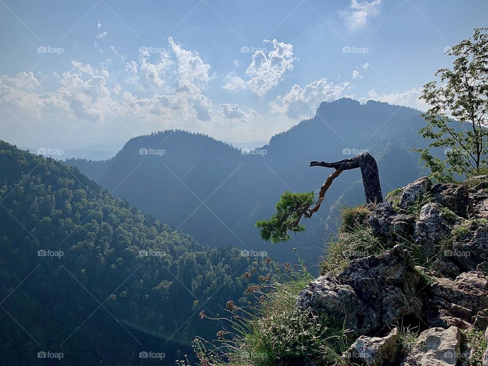 Discover the beauty of nature