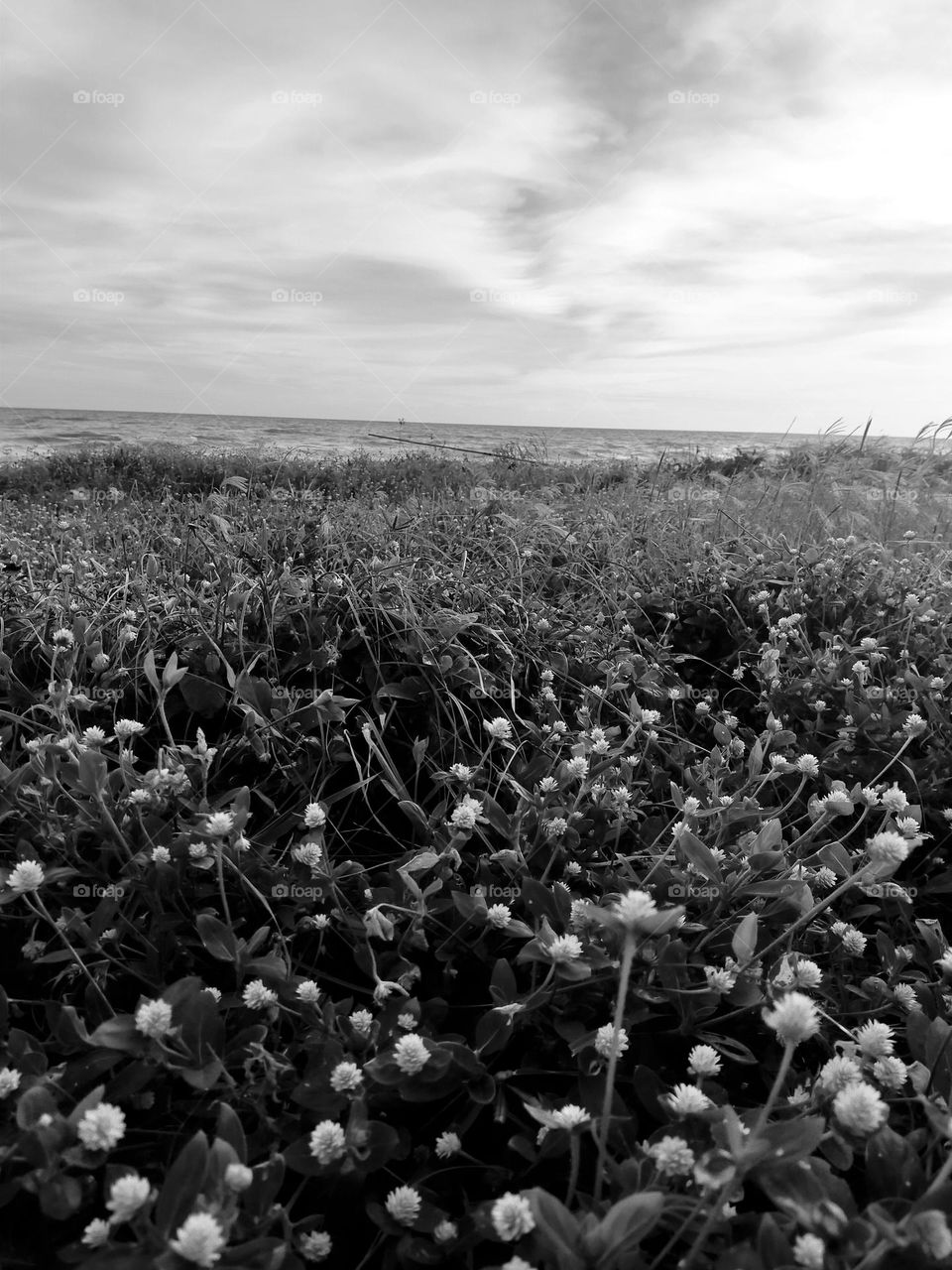 Natural scenery in different places