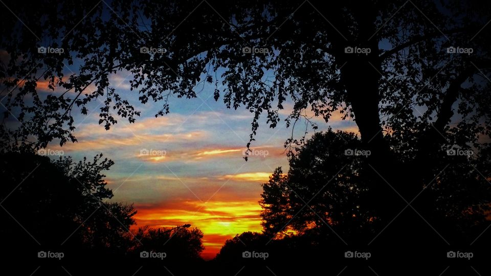 colorful sunset through trees