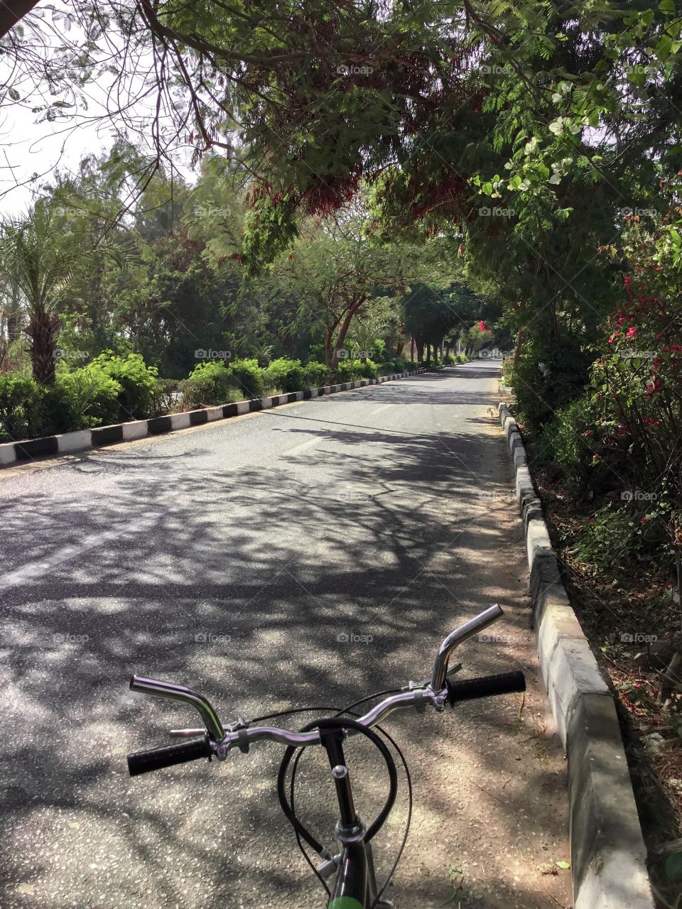 Cycling in southern egypt