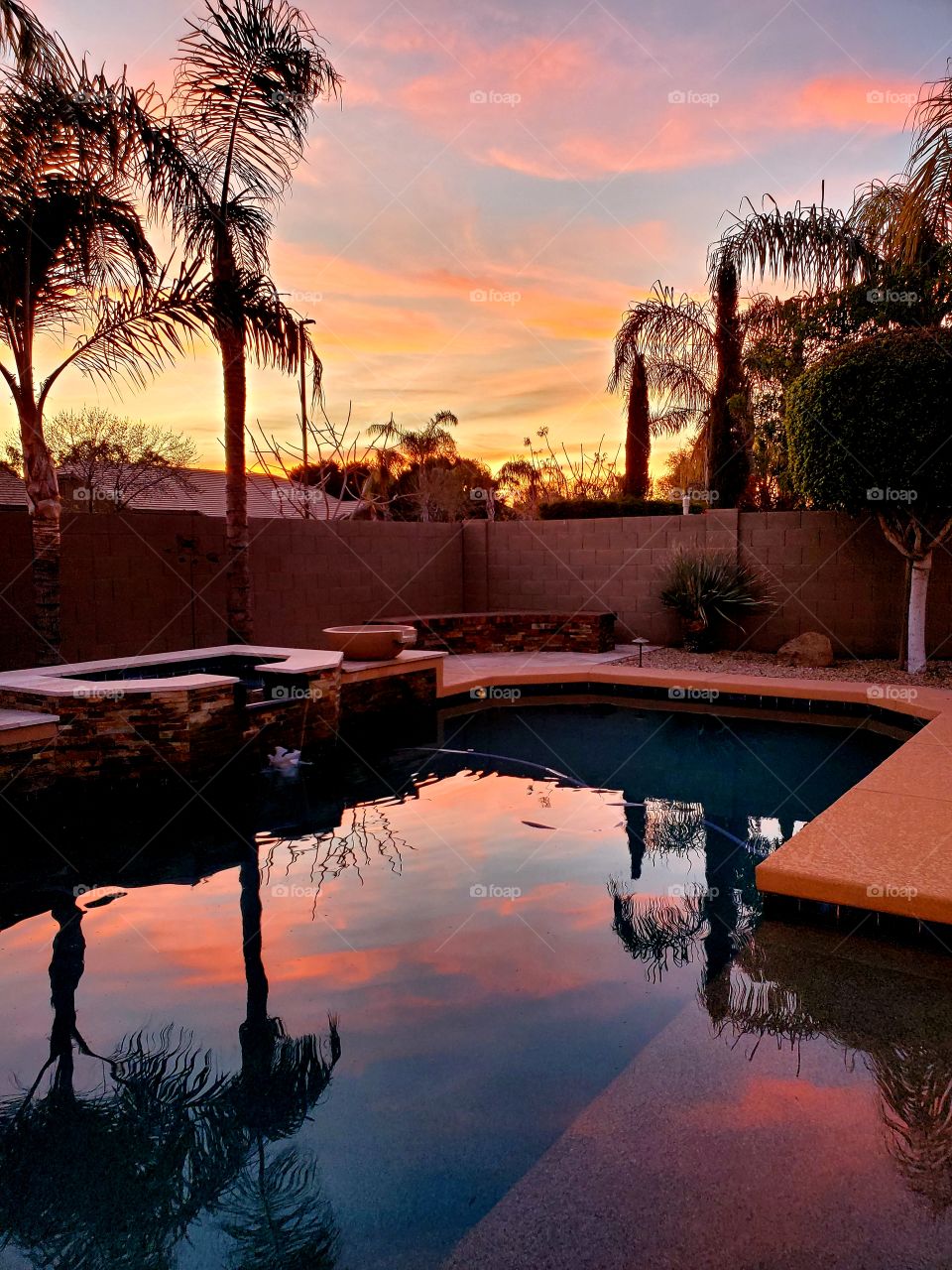 Perfect backyard evening in the desert