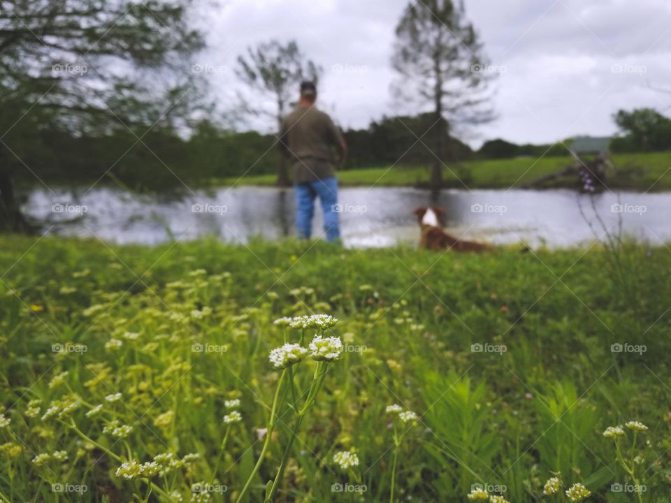 Wildflowers Around a Fisherman & His Dog