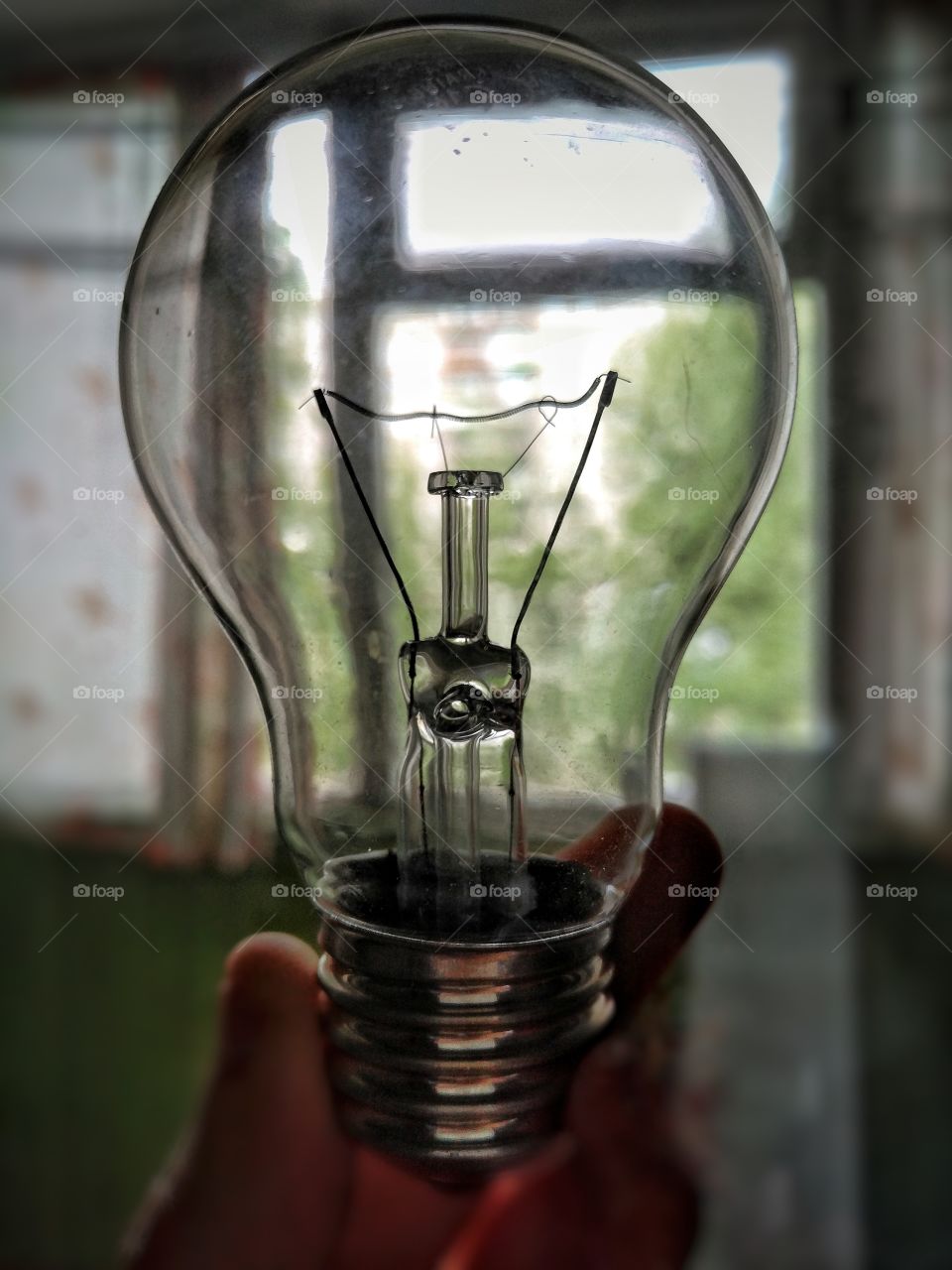 bulb