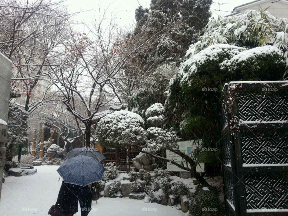 snow winter garden white by abaebae