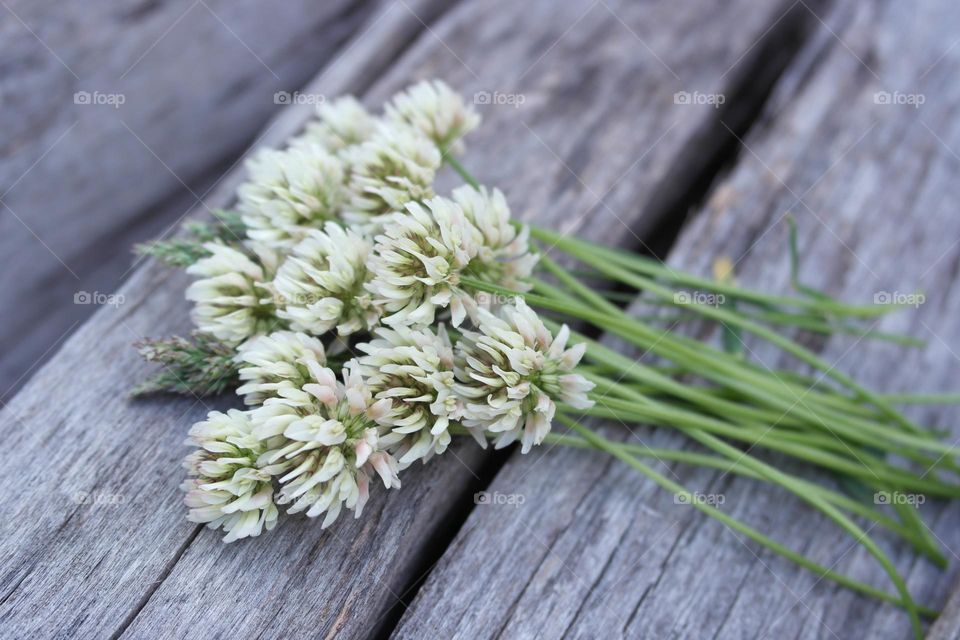 Bouquet of white flowers 