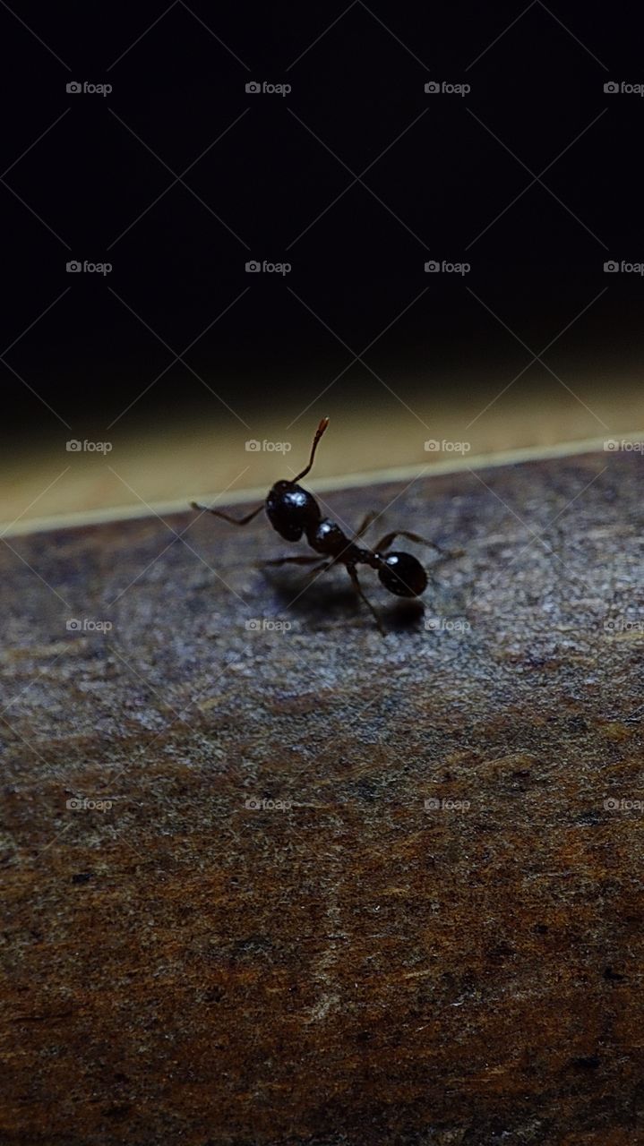 who knows our way ?!!