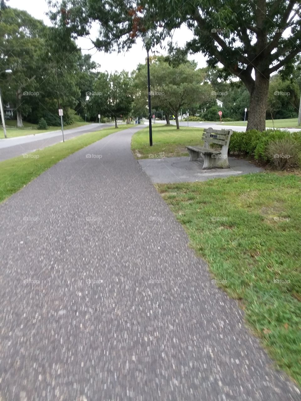 walking the bike path.