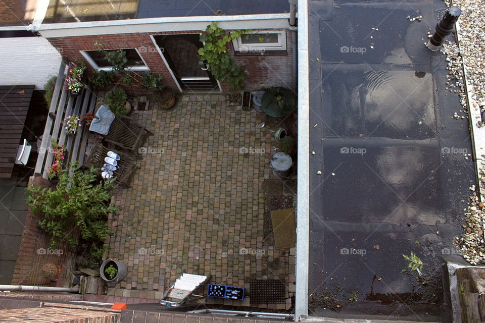 sky city plants clouds by barkai