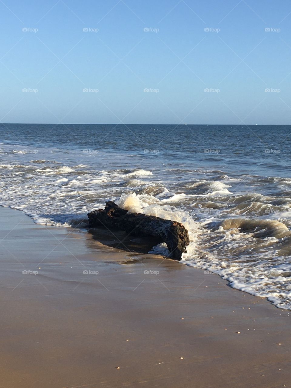 Trunk left on seashore 