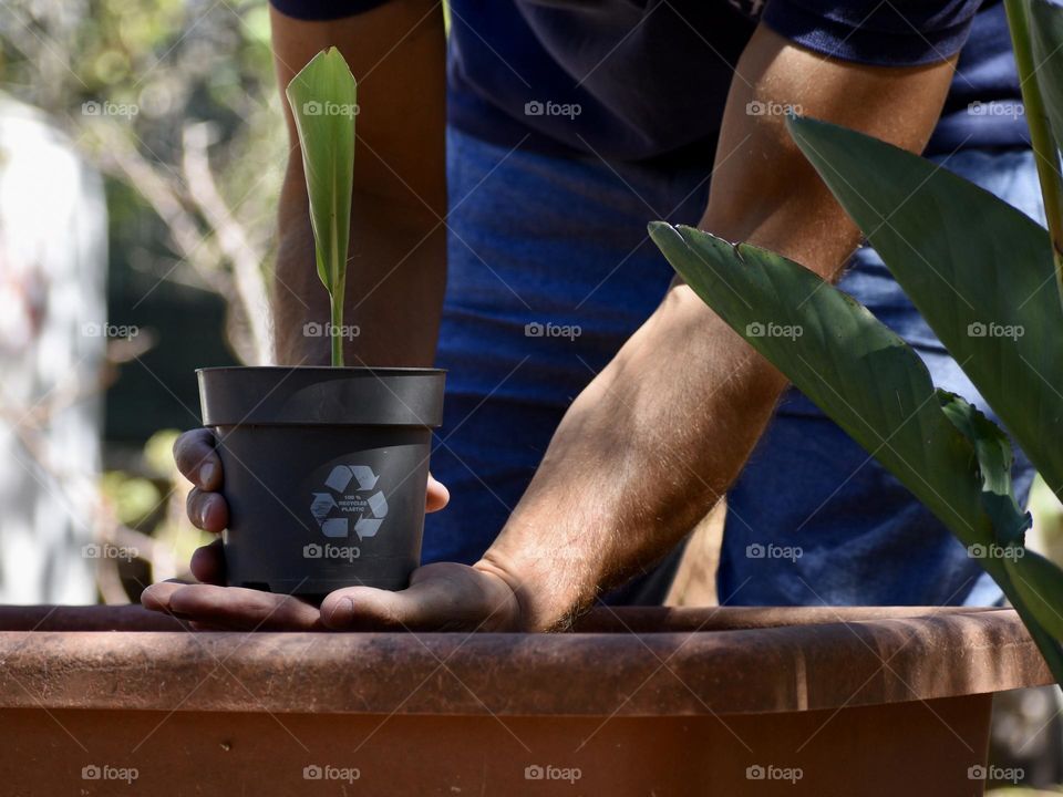 growing plants in recyclable plastic pots