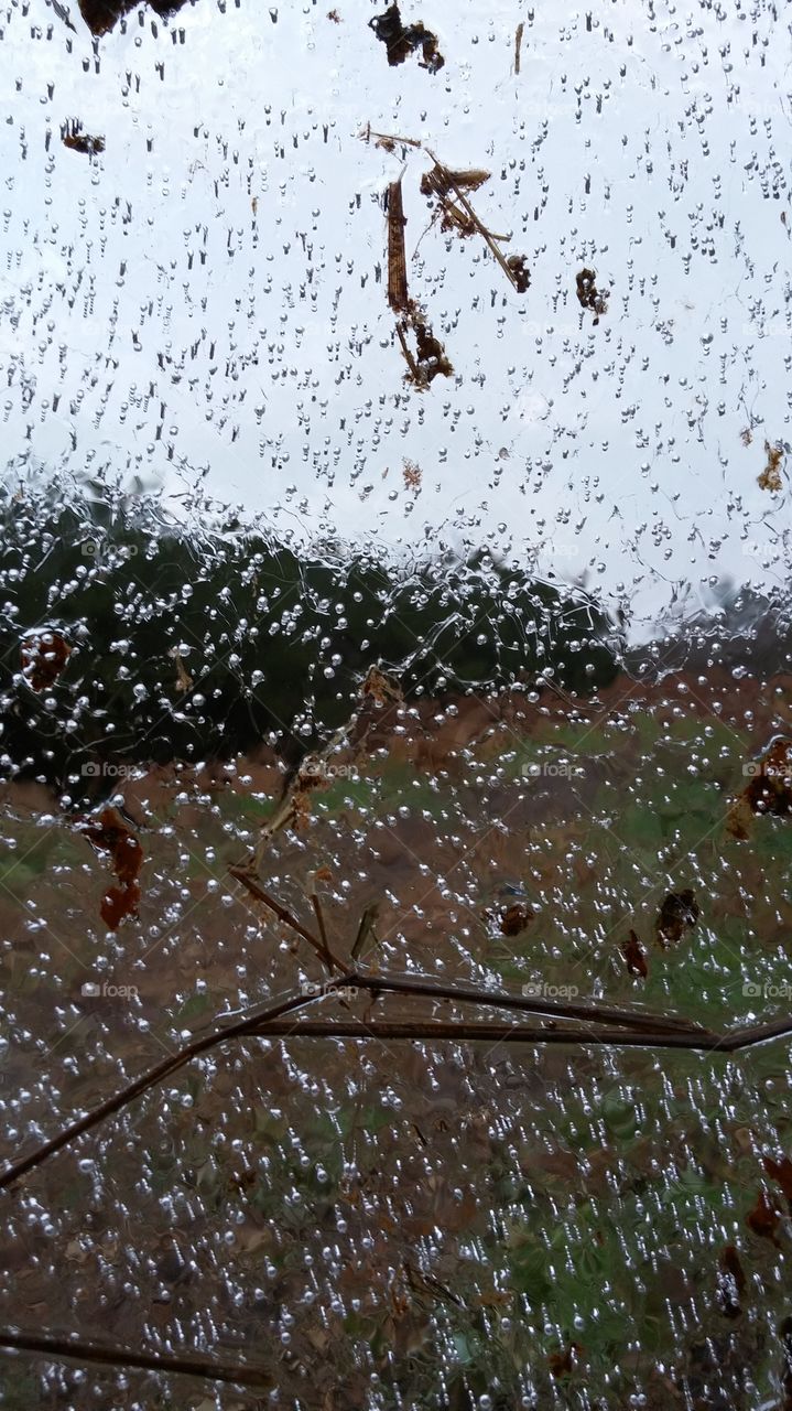 Looking through a sheet of ice