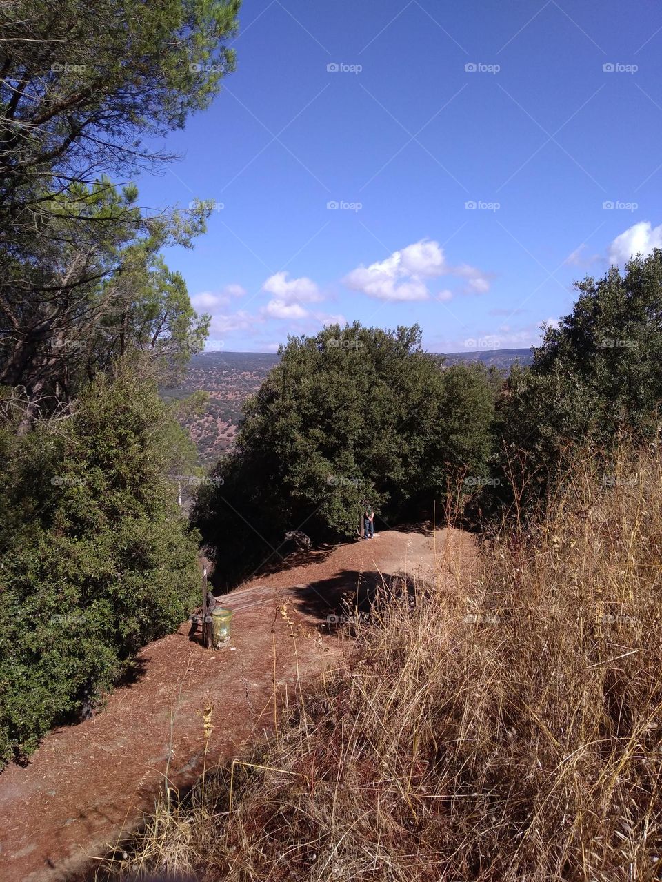 Best of 2021: Nature