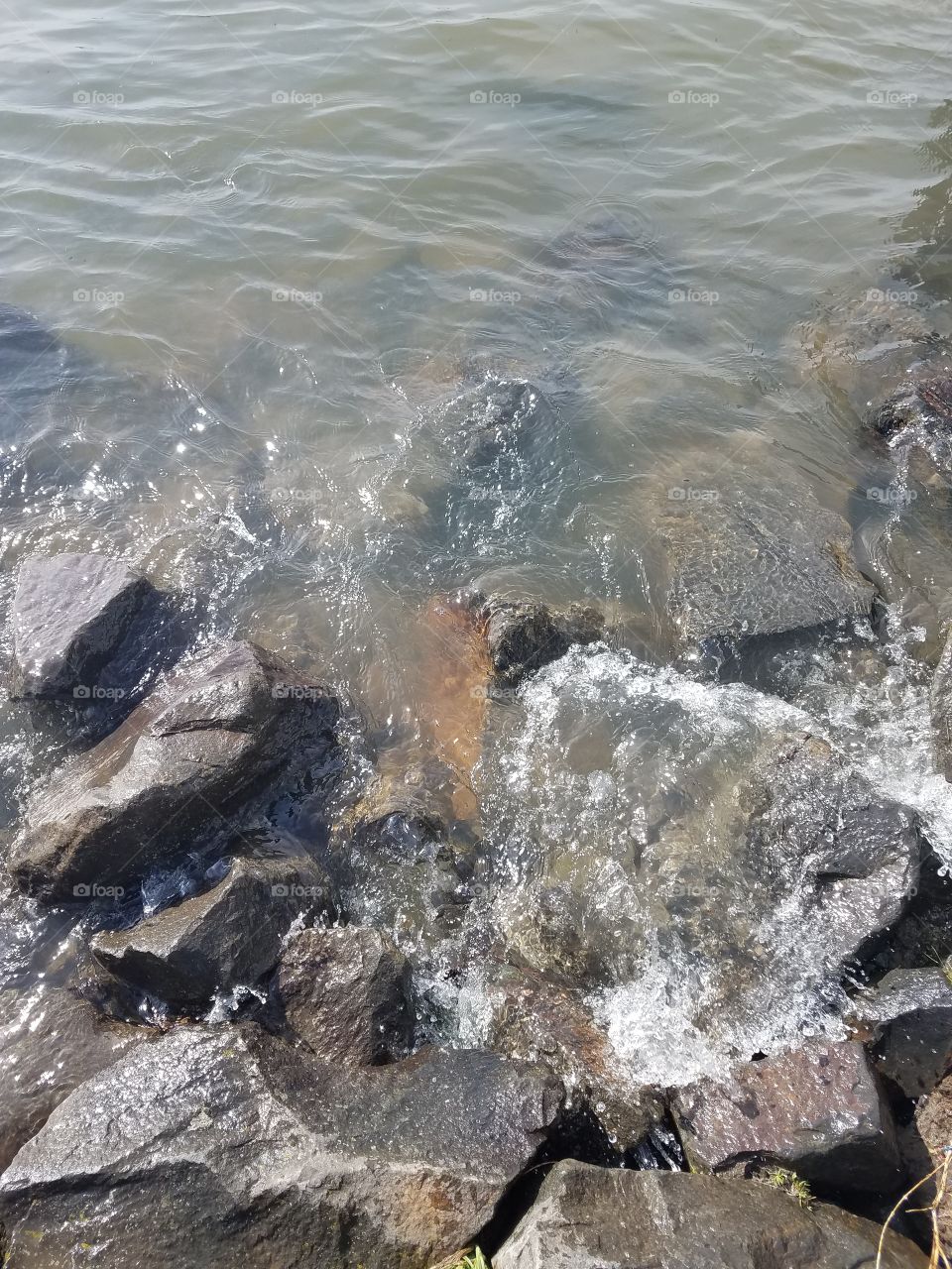 Minimalistic Snaps water
Rocks River