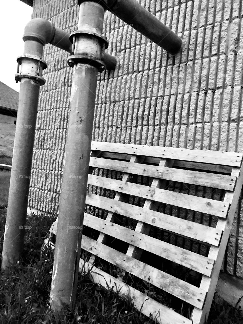 Fun taking photos on a cloudy night at the beach during spring time when the air is still a bit brisk! ! 