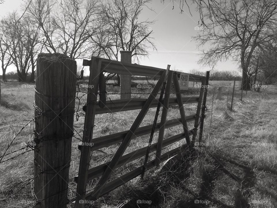 B&W, Black and white, rural, country Road, farm, Dirt Road., Little Elm, Texas, Denton, country living, simple, beautiful simplicity, creepy tree, Landscape, composition, nature, natural, boot, haunted, Spirits, ghostly, mysterious, monochrome 