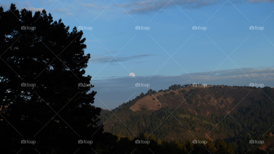 Moonlit countryside evening