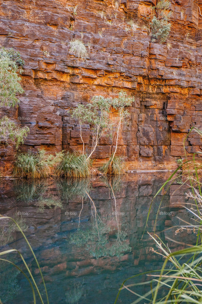 Reflection pool at bottom of gorge, Karijini National Park 