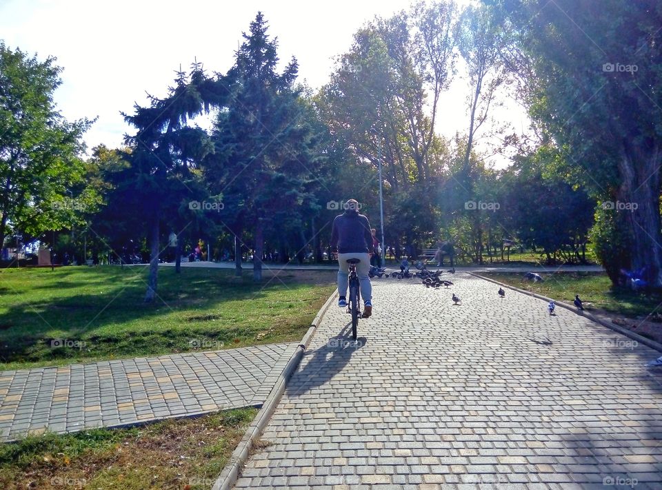 alley biker child аллея велосипедист