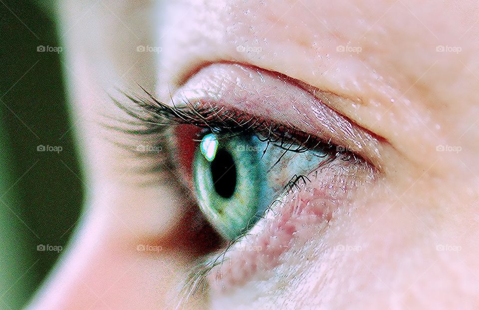 Close-up of women's eye