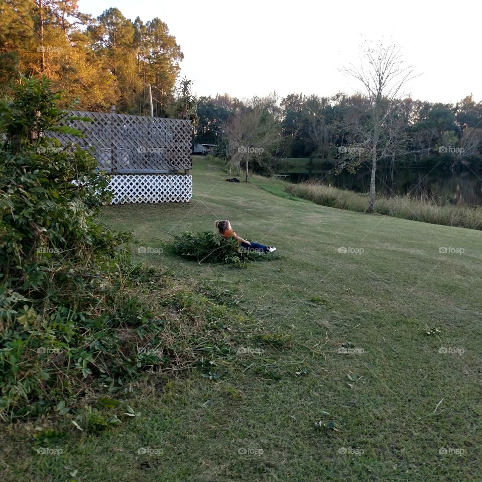 fall, leaves, child, rake, jump, play