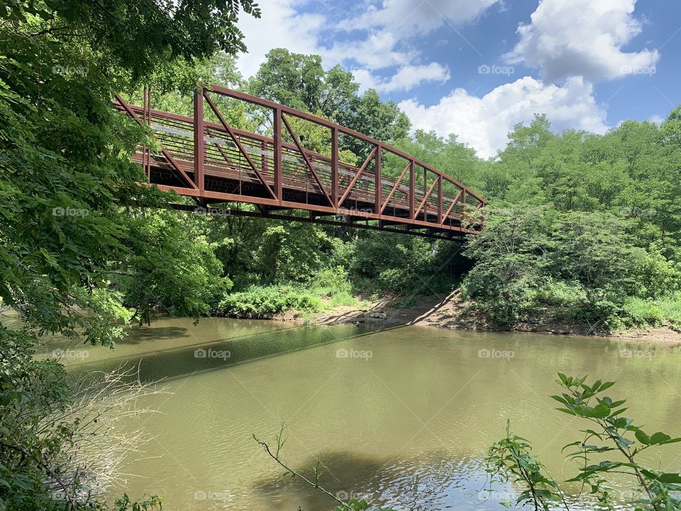This is a footpath in the woods, of a suburban town. Beneath it, fish and other wildlife are making their homes.