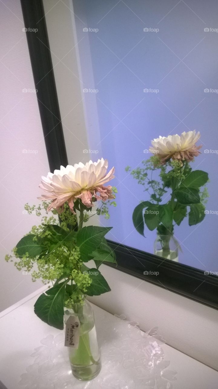 Fancynancy1982. Flower reflection 