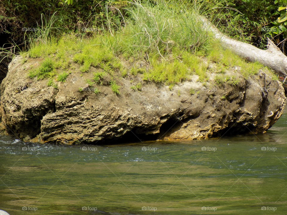 The small island in the jungles of aceh halimon