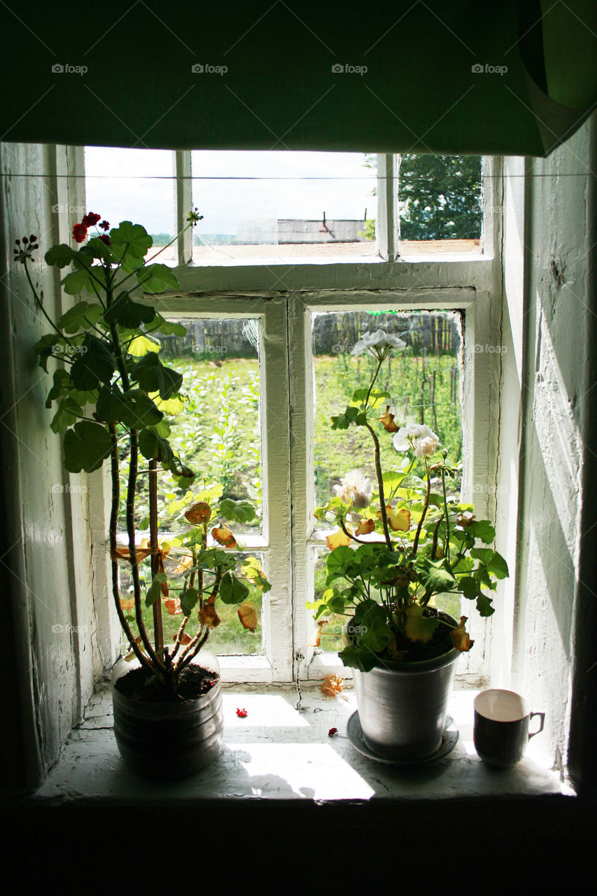 an old window in a village house with flowers on the windowsill overlooking the garden.