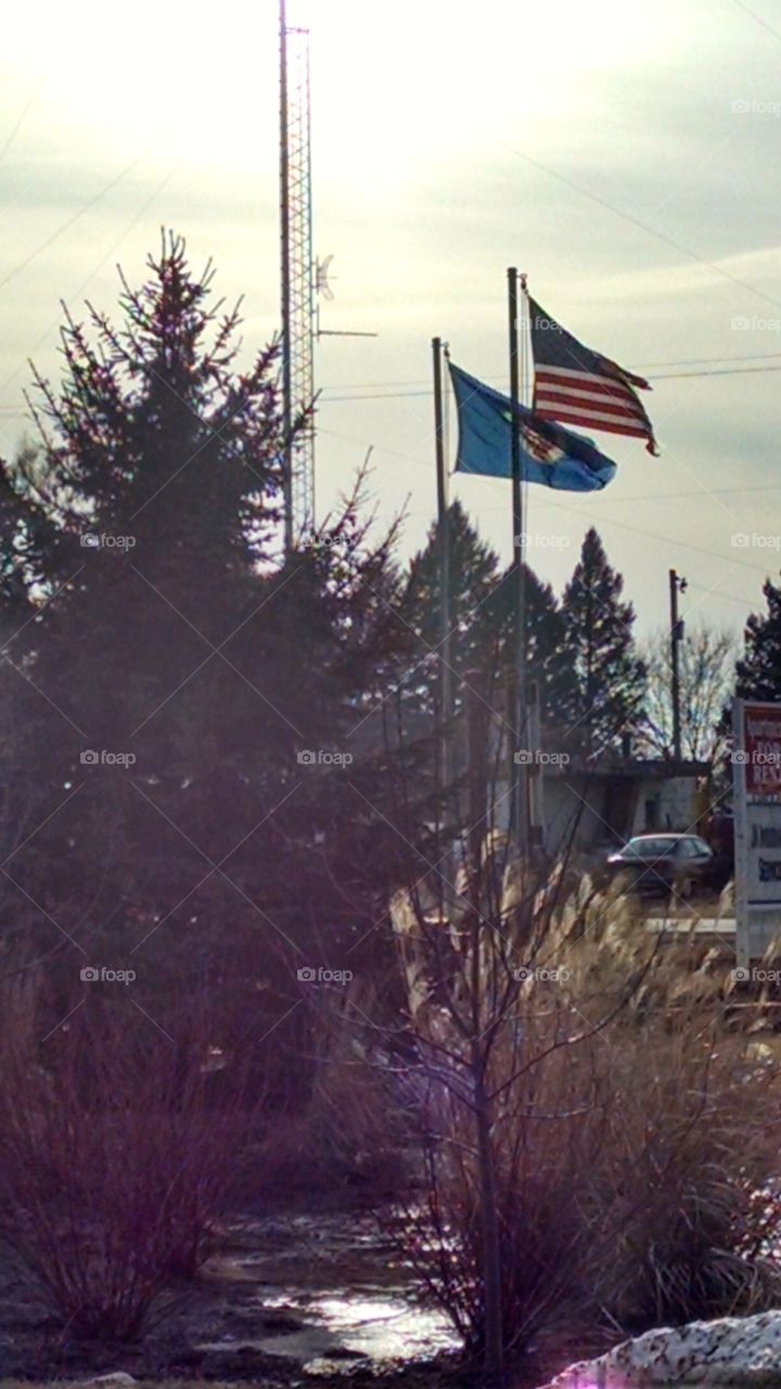 No Person, Flag, Tree, Calamity, Landscape