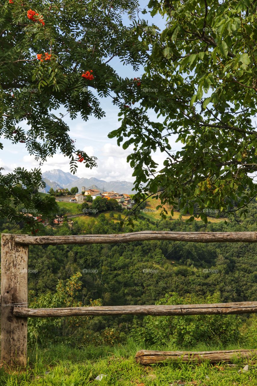 Glimpse of an alpine panorama through the fence and the tree