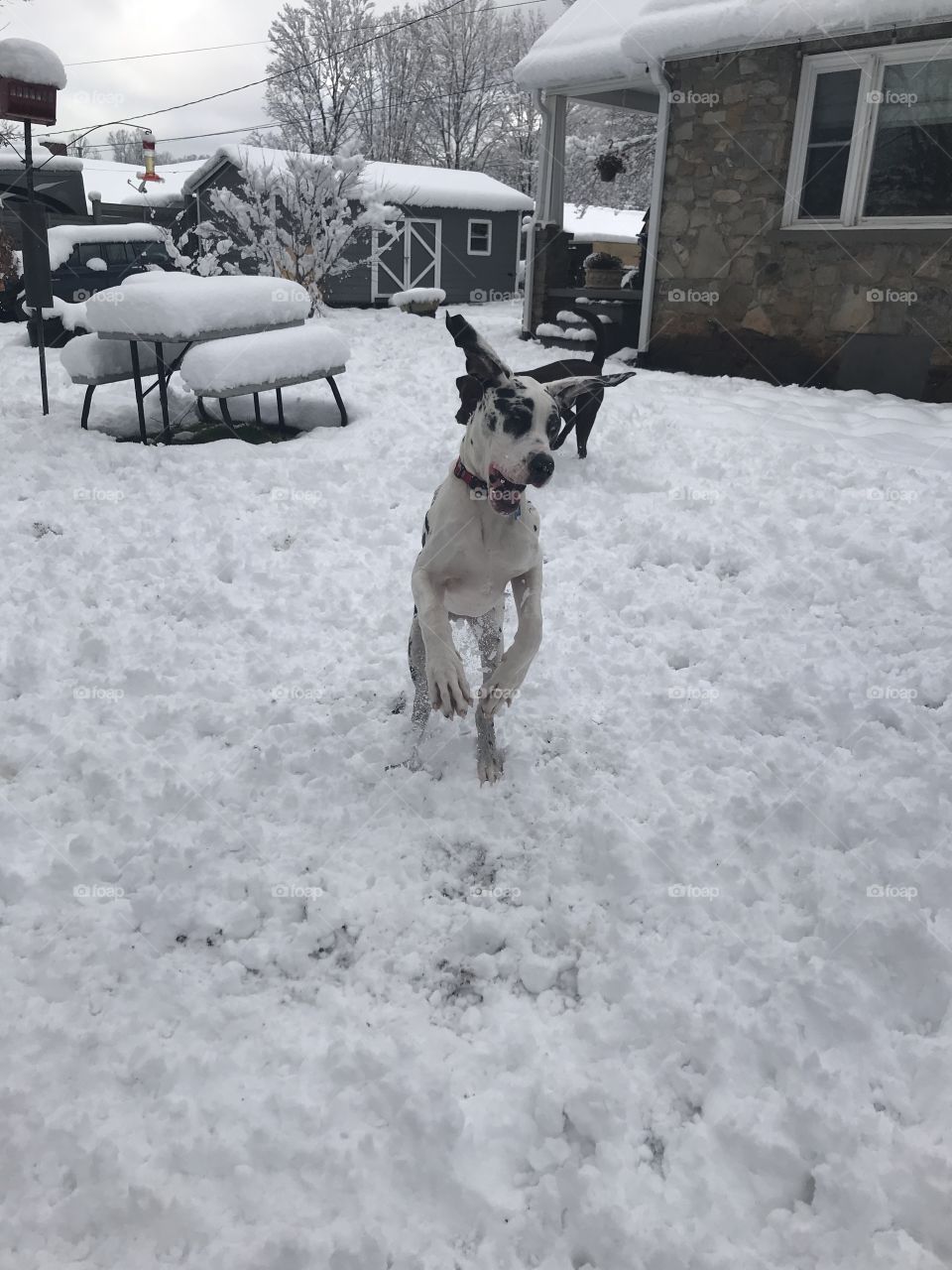 Catching snowballs 