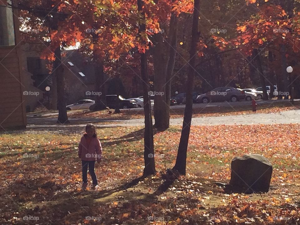 Girl child silhouette amidst autumn foliage
