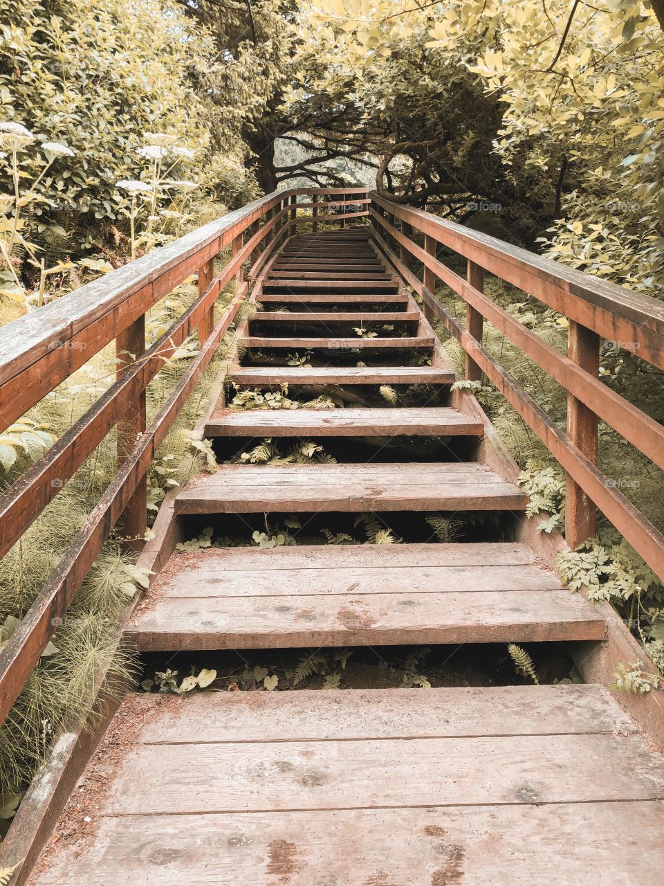 Let’s journey together