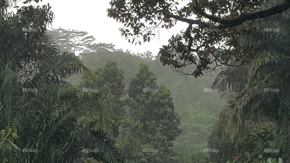 Heavy rain in Malaysia