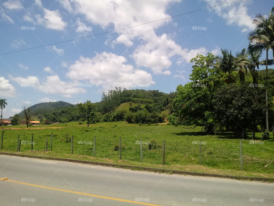 PASTO SÍTIO VEGETAÇÃO