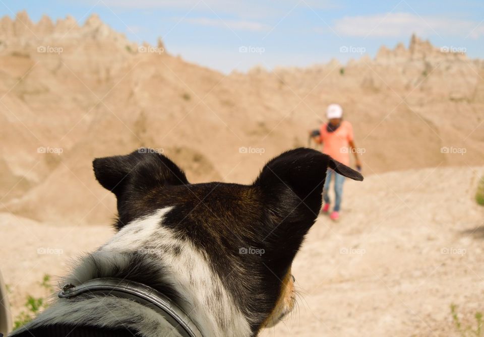 Trip to South Dakota